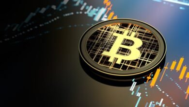 America's Crypto Craze: Massive Bitcoin Sale on the Horizon!